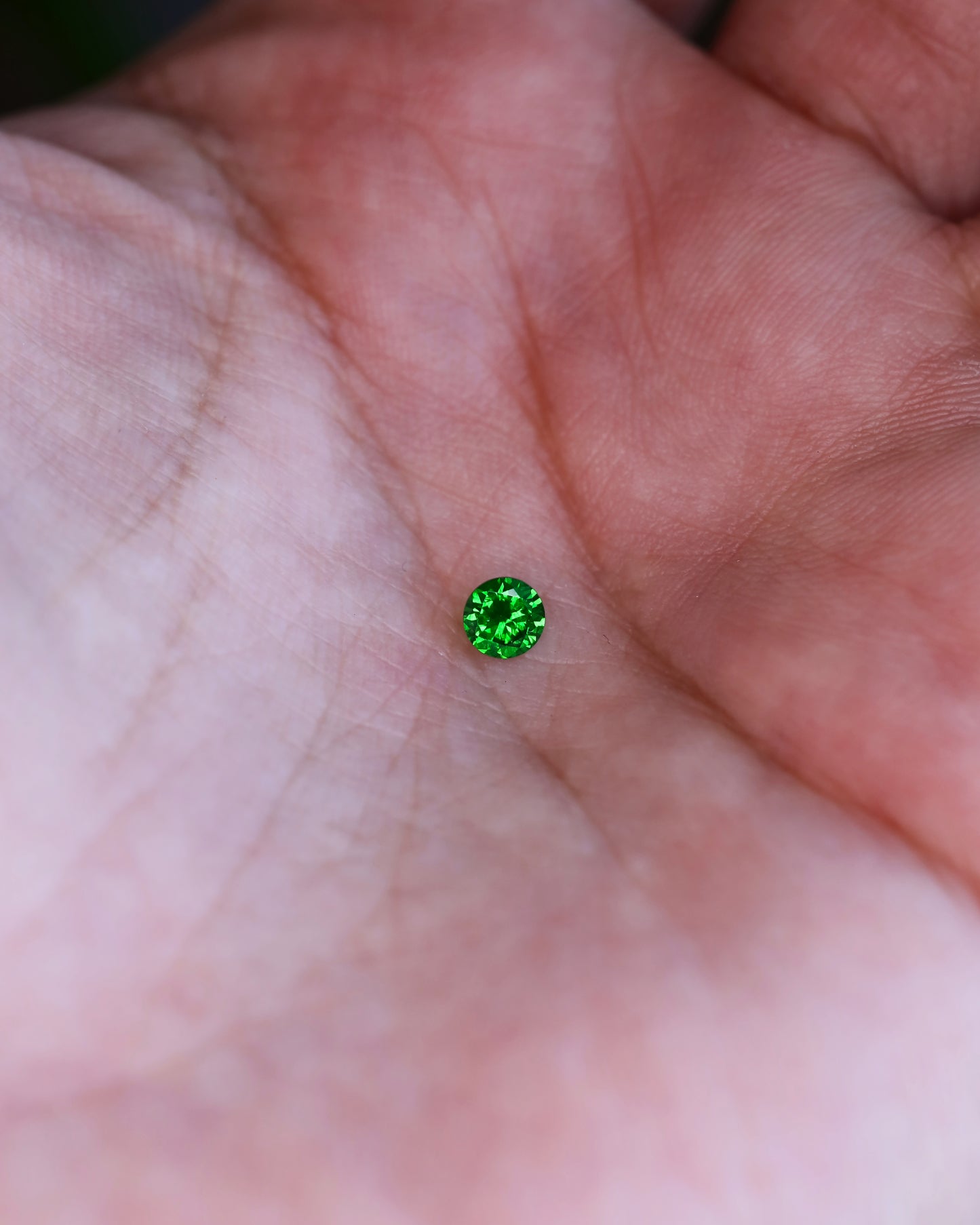 デマントイドガーネット ルース 0.27ct
