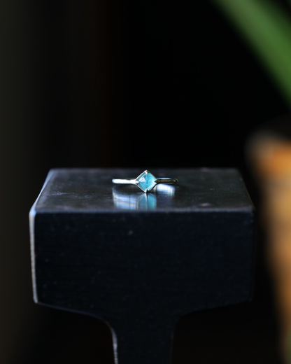 【店主手作り】グランディディエライトPtリング