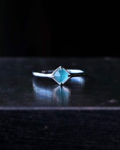 【店主手作り】グランディディエライトPtリング