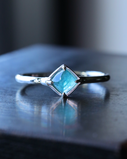 【店主手作り】グランディディエライトPtリング