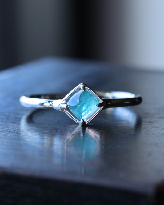 【店主手作り】グランディディエライトPtリング