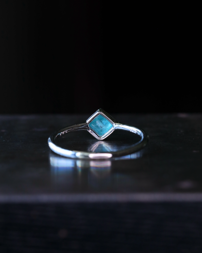 【店主手作り】グランディディエライトPtリング