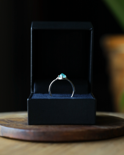 【店主手作り】グランディディエライトPtリング