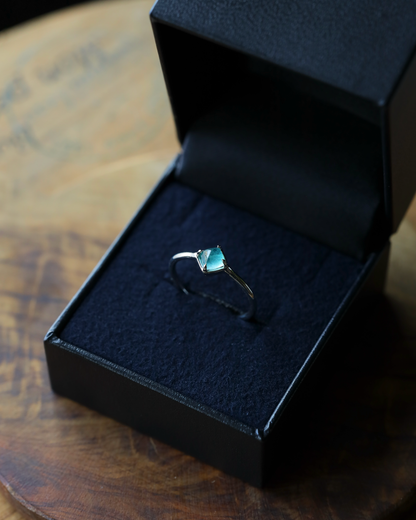 【店主手作り】グランディディエライトPtリング