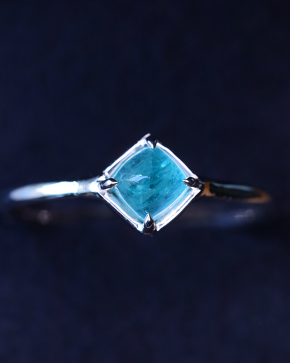 【店主手作り】グランディディエライトPtリング