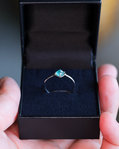 【店主手作り】グランディディエライトPtリング