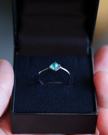 【店主手作り】グランディディエライトPtリング