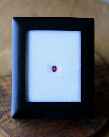 非加熱ピジョンブラッドルビー　ルース　0.23ct