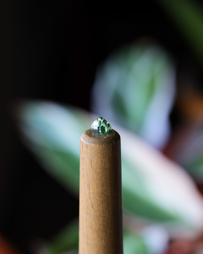 グリーンアパタイト　ルース　1.58ct