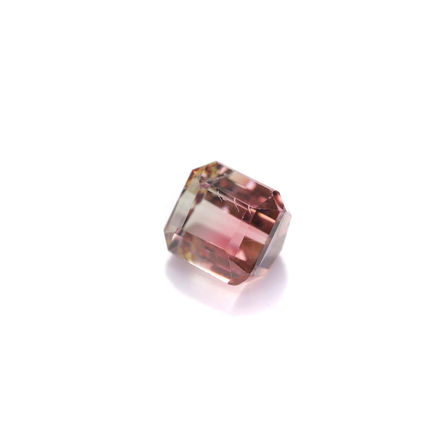 バイカラートルマリン　ルース　0.88ct