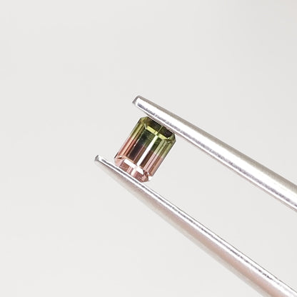 バイカラートルマリン　ルース　0.21ct